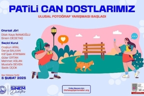 uskudar-belediyesi-patili-can-dostlarimiz-ulusal-fotograf-yarismasi-basladi.jpg