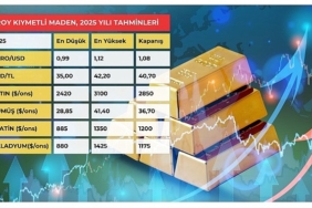 altin-3-bin-dolari-gumus-40-dolari-asacak.jpg