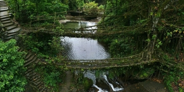 3-bolumden-olusan-vahsi-hindistan-1-mart-cumartesi-gunu-20-00de-national-geographic-wild-ekranlarinda-basliyor.jpg