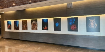 okyanuslarin-mirasi-sualti-fotograf-sergisi-memorial-sanat-galerisinde.jpg