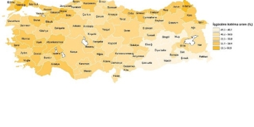 isgucu-istatistikleri-2024.jpg
