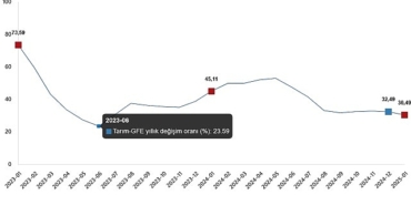tarimsal-girdi-fiyat-endeksi-ocak-2025.jpg